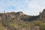 photo thumbnail #14