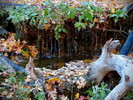 photo thumbnail #10