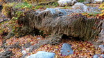 photo thumbnail #11