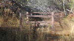 photo thumbnail #7
