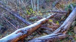 photo thumbnail #2