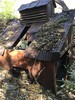 photo thumbnail #5