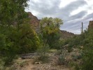 photo thumbnail #7