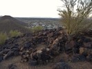photo thumbnail #1