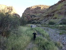 photo thumbnail #3