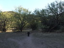 photo thumbnail #7