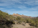 photo thumbnail #8