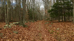 photo thumbnail #9