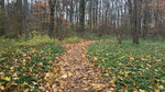 photo thumbnail #9