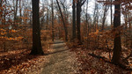 photo thumbnail #1