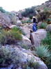 photo thumbnail #3