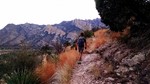 photo thumbnail #5