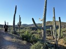 photo thumbnail #2