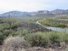photo thumbnail #2