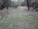 photo thumbnail #11