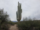 photo thumbnail #14