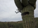 photo thumbnail #15