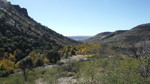 photo thumbnail #11