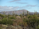 photo thumbnail #3