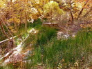 photo thumbnail #12