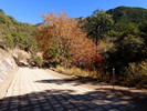 photo thumbnail #14