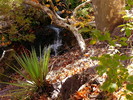 photo thumbnail #15