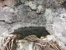 2016-11-26 :1: Cottonwood Spring - Goldfield Mtns :: hikerdw