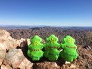photo thumbnail #2