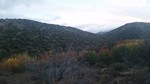 photo thumbnail #5