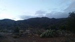 photo thumbnail #6