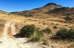 photo thumbnail #5