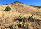 2016-11-24 :1: Mustang Mountains High Point 6469 :: AZHiker456