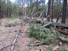photo thumbnail #1