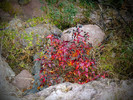 photo thumbnail #13