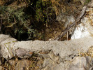 photo thumbnail #14