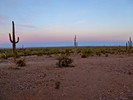 photo thumbnail #4