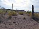 photo thumbnail #6