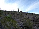 photo thumbnail #7
