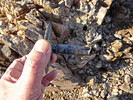 photo thumbnail #12