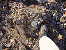 photo thumbnail #13