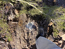photo thumbnail #15