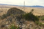 photo thumbnail #7