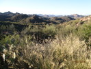 photo thumbnail #2