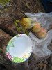 photo thumbnail #9