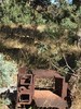 photo thumbnail #8