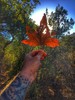 photo thumbnail #10