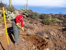photo thumbnail #2