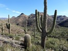 photo thumbnail #11