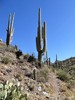 photo thumbnail #13