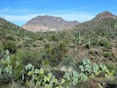 photo thumbnail #15